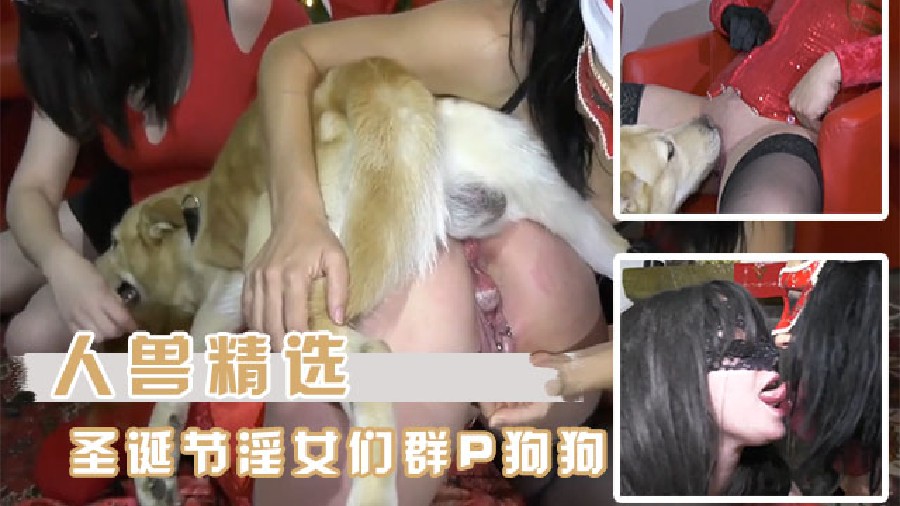 [人兽精选）圣诞节淫女们和狗狗的群P大狂欢 海报