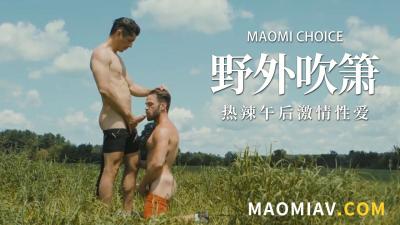 野外激战的骑士. 海报